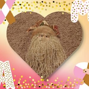 Santa Clause Christmas Decor